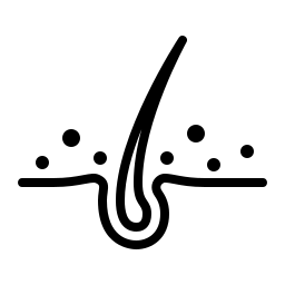 Imaging by Zwanzger & Salaya